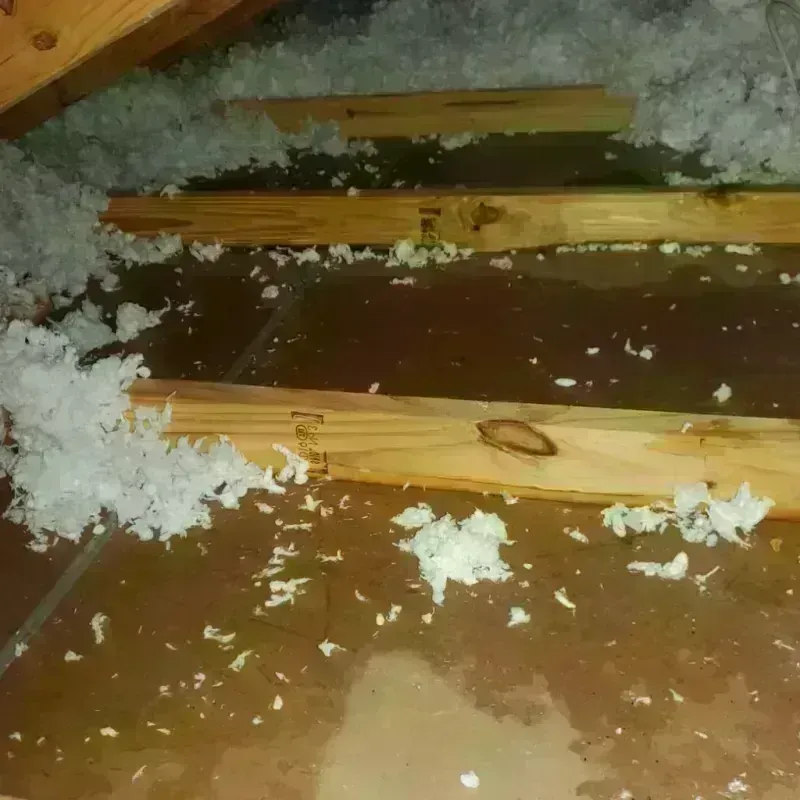 Attic Water Damage in Ball, LA